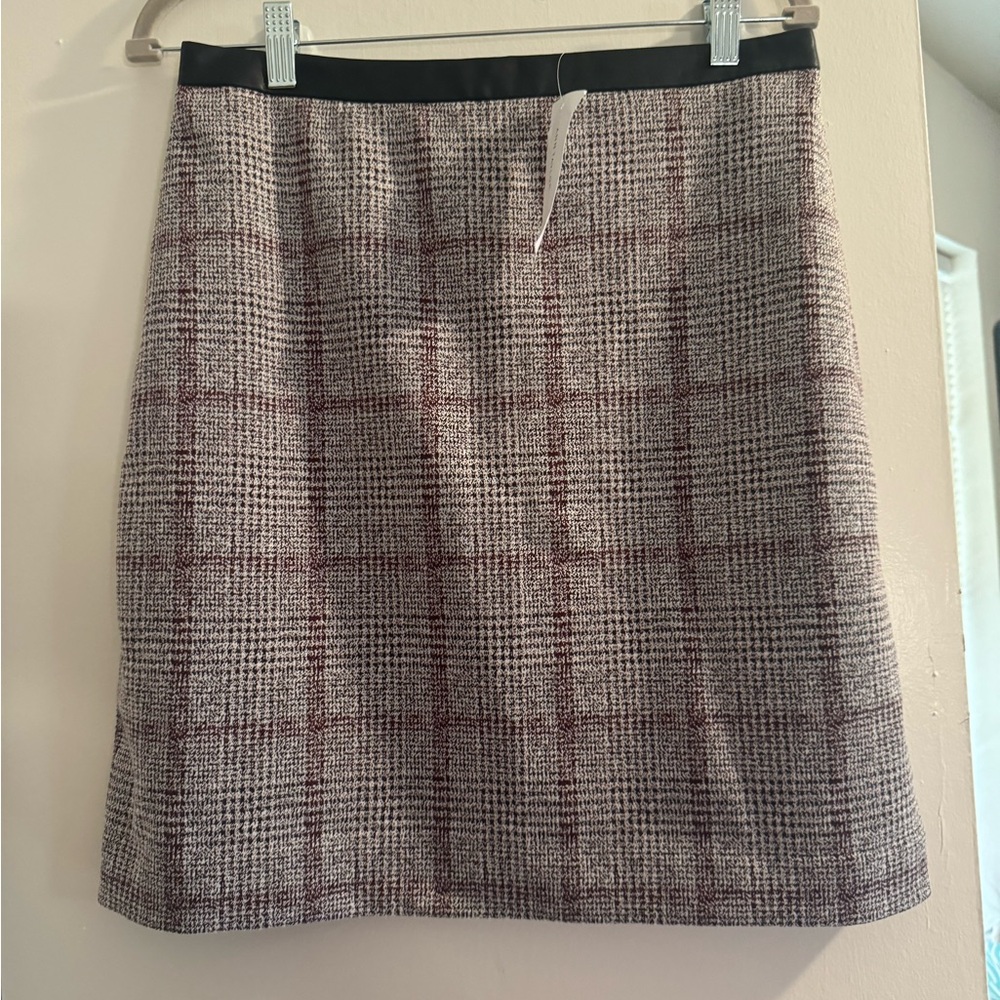 Ann Taylor skirt